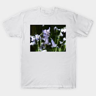 Bluebells in close-up T-Shirt